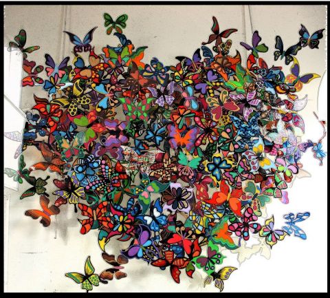 Photo by Doriane Metz : Papillons,  galerie Place des Vosges