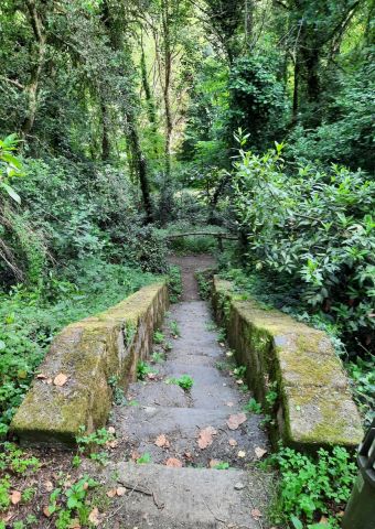 Photo de Patmor : Escalier en pierres