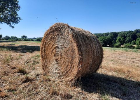 Photo de Patmor : La meule de foin