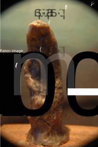 david nieves vazquez