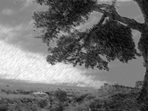 Iolair Wallace McLoor