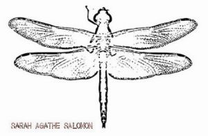 Sarah Agathe SALOMON