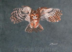 Patricia GIROLDINI HYVERNAT