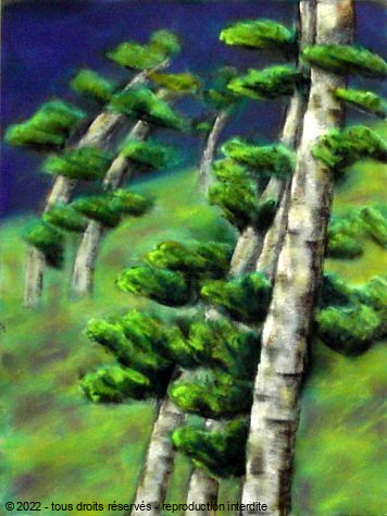 L'artiste BETTY-M peintre - des arbres