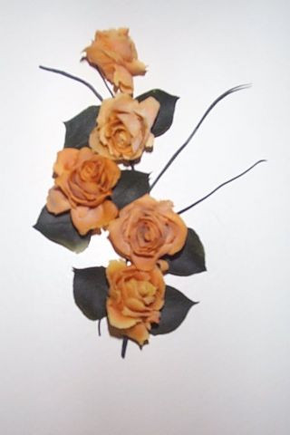 lestef1943 - roses orangées