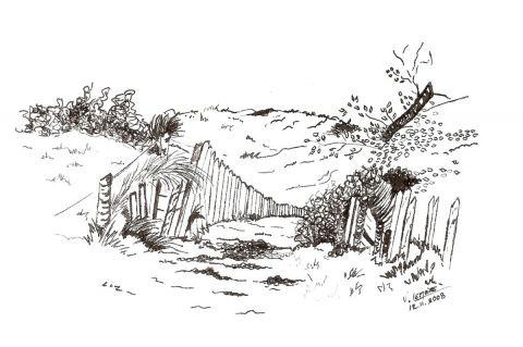 Nature Sauvage Dessin Poupee