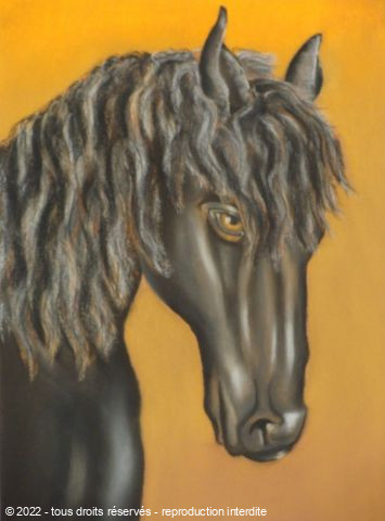 L'artiste BETTY-M peintre - tête de cheval noir