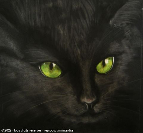 L Artiste Betty M Peintre Chat Noir