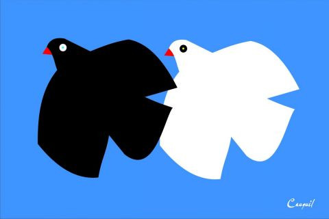 Oiseau Blanc Noir Mixte Cauquil