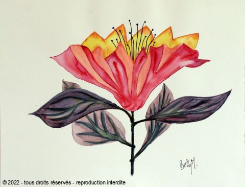 L'artiste BETTY-M peintre - fleur cône